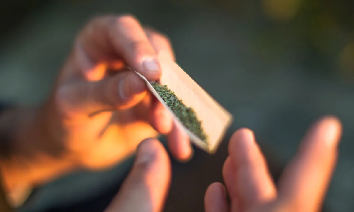 Blunt vs Joint vs Spliff: What’s the Difference?