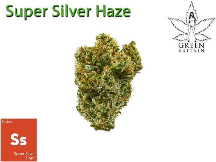 Super Silver Haze